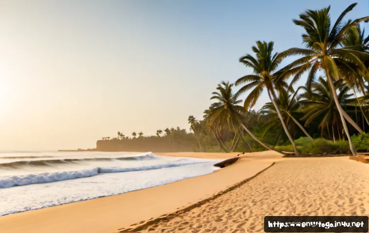 Home 17 토고 서핑 가능 지역 - Photorealistic wide coastal scene at a beginner-friendly surfing beach near Kpalimé, Togo, a lone su...